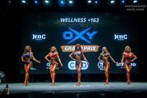 WELLNESS +163